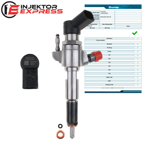 9674973080 Siemens Injektor Einspritzdüse Ford Citroen Volvo Mazda Peugeot Partner 1.6 HDi A2C59513556