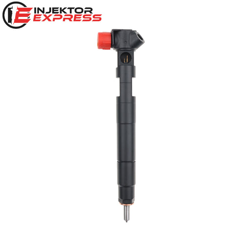 A6510703087 Delphi Injektor Mercedes-Benz Sprinter 310 CDI 313 CDI 28307309