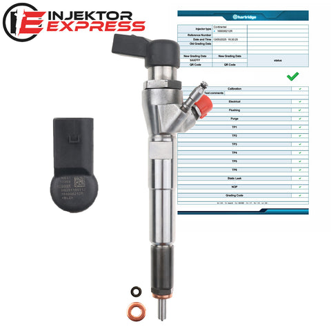 H8201100113 Injektor Einspritzdüse Dacia Mercedes-Benz Nissan 1.5 dCi 166006212R