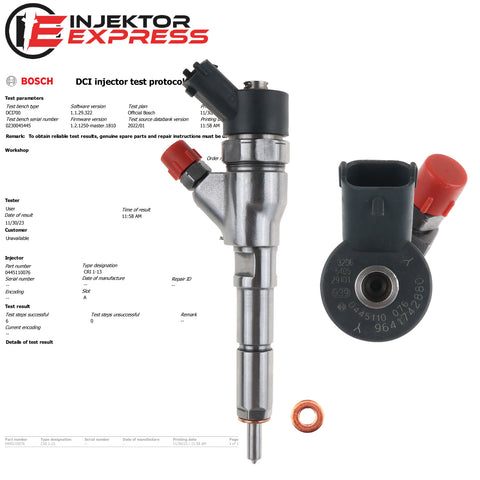 0445110076 Bosch Einspritzdüse Injektor Citroen Fiat Peugeot 2.0 JTD 9641742880