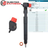 28264951 Delphi injector Opel Chevrolet Captiva 2.2 D 25183186