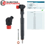 A6510701387 Delphi injector Mercedes-Benz A 180 CDI CLA 200 CDI 28230891