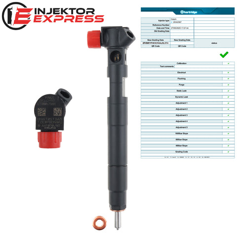 A6510704987 - A6510700587 Delphi Injektor Infiniti Jeep Mercedes-Benz C 180CDI Sprinter 3,5 t 28342997