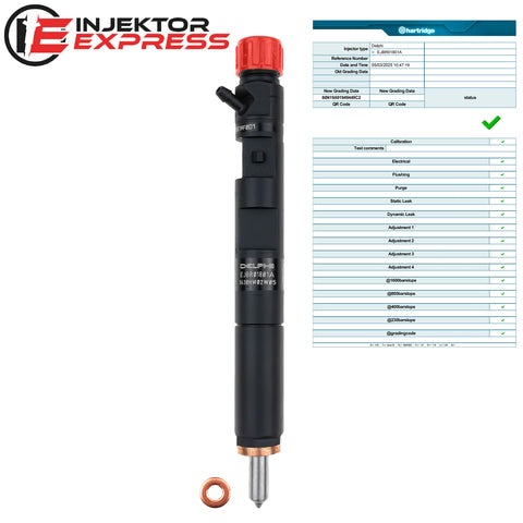 EJBR01801A Delphi Injektor Renault Clio Megane Kangoo 1.5 dCi 28232248