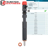 EJBR02101Z Delphi injector Dacia Renault Clio Kangoo Logan 1.5 dCi 28232242