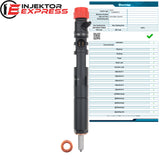 EJBR02201Z Delphi injector Ford Focus Tourneo Connect 1.8 TDCi 2T1Q9F593AA