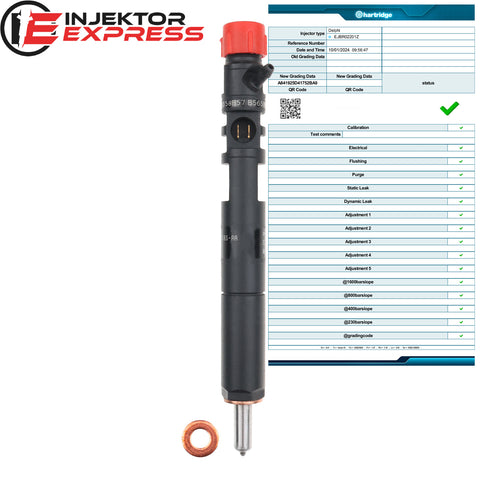 EJBR02201Z Delphi Injektor Ford Focus Tourneo Connect 1.8 TDCi 2T1Q9F593AA