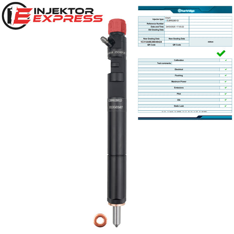 EJBR02801D Delphi Injektor  Hyundai Terracan Kia Carnival 2.9 TDi 33800-4X500
