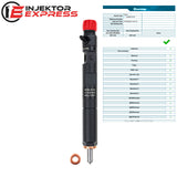 EJBR03101D Delphi injector Dacia Nissan Suzuki Renault Captur 1.5 dCi EJBR05102D 166001137R