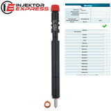 EJBR04201D Delphi injector Mercedes-Benz C200 CDI E220 CDI A6460700987