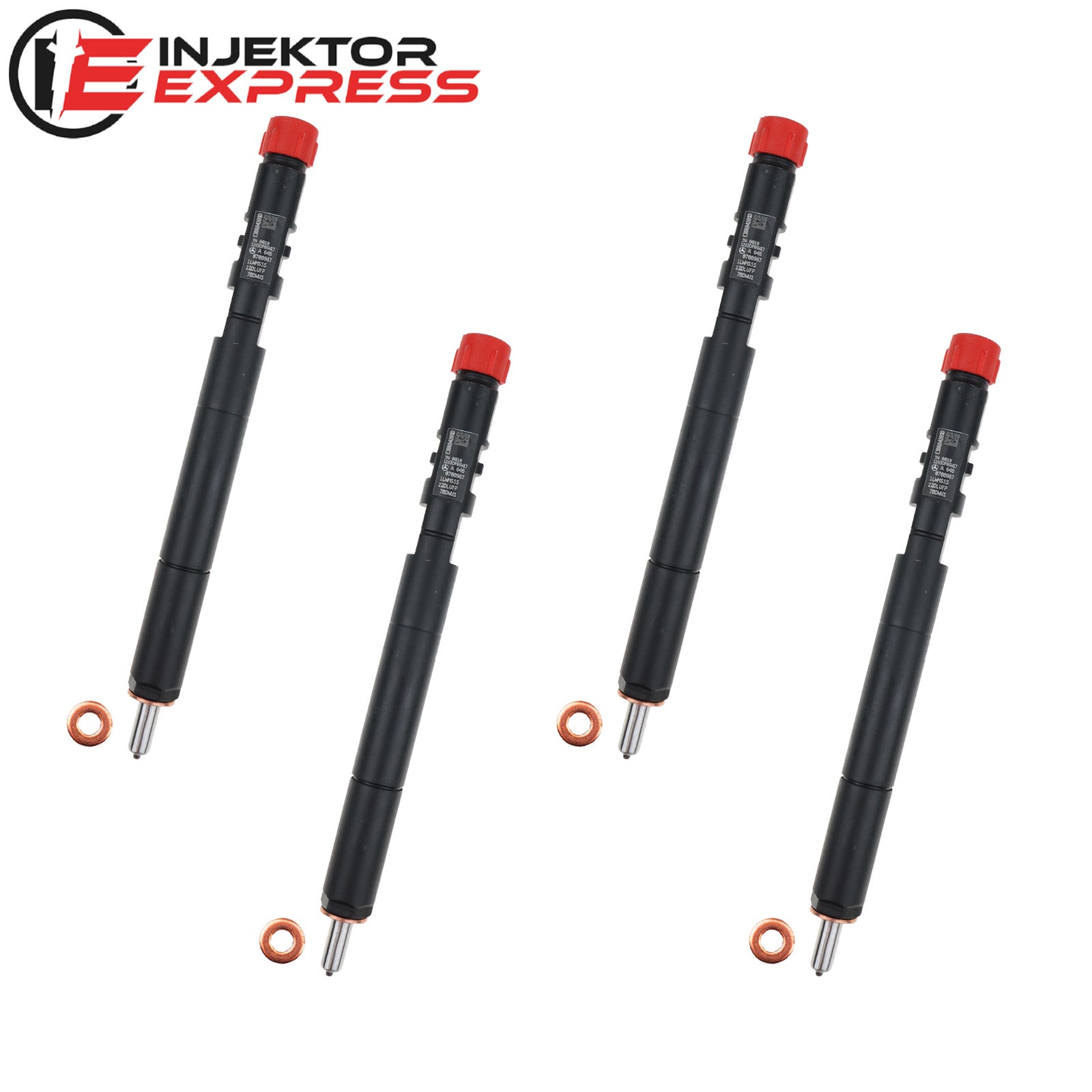 Inyector Delphi Mercedes C E 200-220 CDI A6460700987 Ejbr04201d - Foto 14