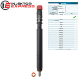 EJBR04501D Delphi injector Ssang Yong Actyon 2.0 Xdi A6640170121