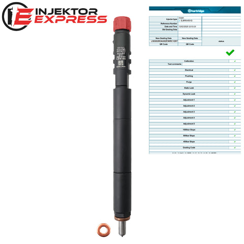 EJBR04501D Delphi Injektor Ssang Yong Actyon 2.0 Xdi A6640170121