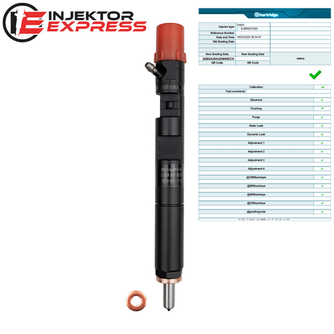 EJBR05102D Delphi Injektor Dacia Duster Nissan Micra Renault Mégane 1.5 dCi 28232251