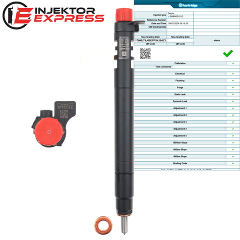 EMBR00101D Delphi Injektor Citroen Fiat Peugeot Ford Mondeo 2.0 TDCi 9686191080