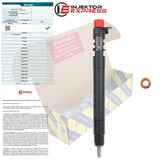 EMBR00101D Delphi injector Citroen Fiat Peugeot Ford Mondeo 2.0 TDCi 9686191080