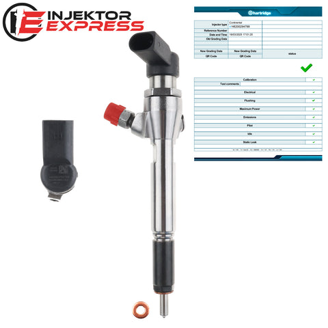H8200294788 Siemens Injektor Einspritzdüse Renault Nissan Note 1.5 dCi 166009445R