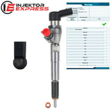 H8200704191 Siemens Injektor Einspritzdüse Peugeot Renault Nissan Dacia Duster 1.5 dCi A2C59513484