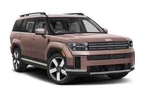 Hyundai Santa Fe Diesel Injektoren