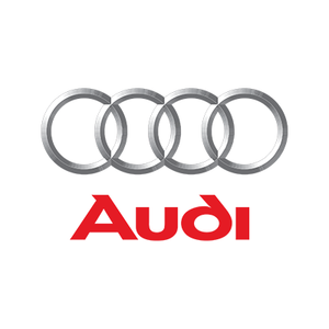 Audi Diesel Injektoren