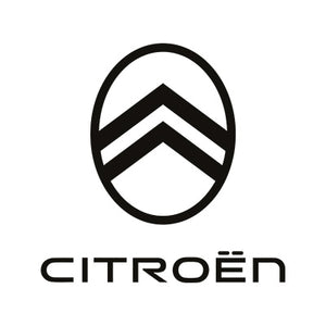 Citroen Diesel Injektoren