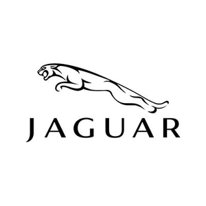 Jaguar Diesel Injektoren