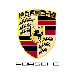 Porsche Diesel Injektoren