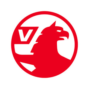 Vauxhall Diesel Injektoren